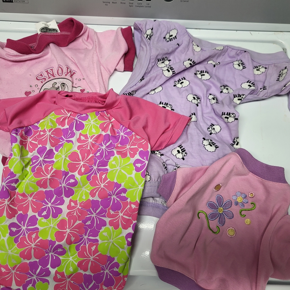 Colorful Dog Apparel Set